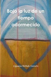 bokomslag Bajo La Luz De Un Tiempo Adormecido