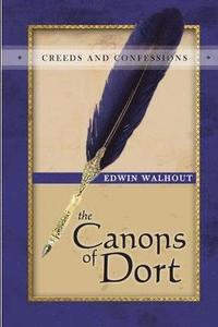 bokomslag Canons of Dort: A Theological and Pastoral Critique