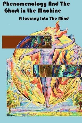 Phenomenology and The Ghost in The Machine