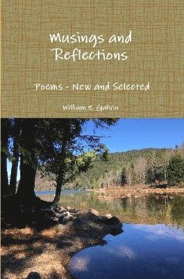 bokomslag Musings and Reflections