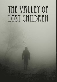 bokomslag The Valley of Lost Children