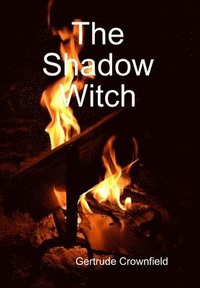 bokomslag The Shadow Witch