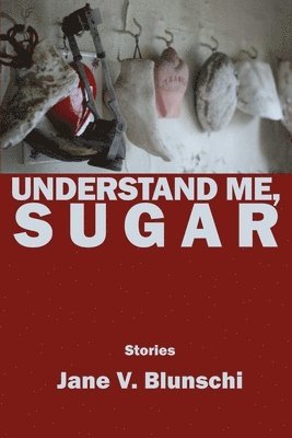 bokomslag Understand Me, Sugar