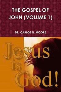 bokomslag The Gospel of John (Volume 1)