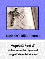 bokomslag Beginner's Bible Journal: Prophets Part 3