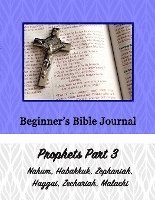 Beginner's Bible Journal: Prophets Part 3 1