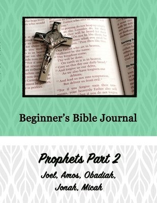 bokomslag Beginner's Bible Journal