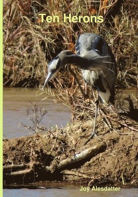 bokomslag Ten Herons