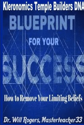 bokomslag Kleronomics Temple Builders DNA Blueprint for Success Program