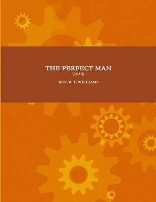 Perfect Man (1913) 1