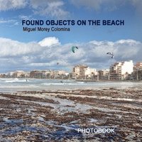 bokomslag Found Objects on the Beach