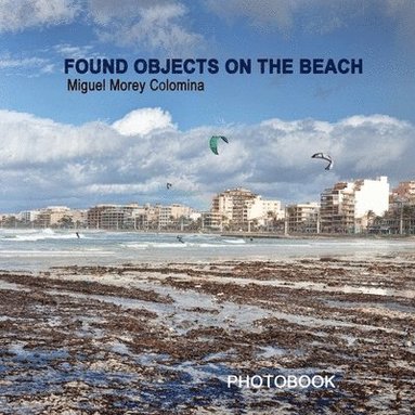 bokomslag Found Objects on the Beach