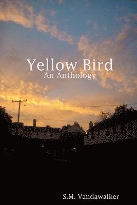 Yellow Bird 1