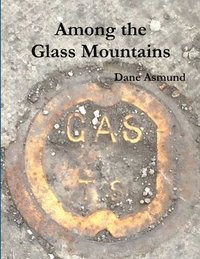 bokomslag Among the Glass Mountains