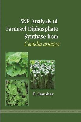 P Jawahar, P. Jawahar - Snp Analysis of Farnesyl Diphosphate Synthase from Centella Asiatica, Häftad