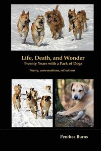 bokomslag Life, Death, and Wonder Twenty Years with a Pack of Dogs