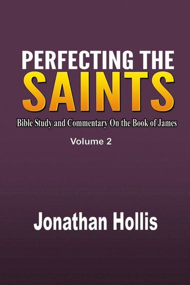 bokomslag Perfecting the Saints