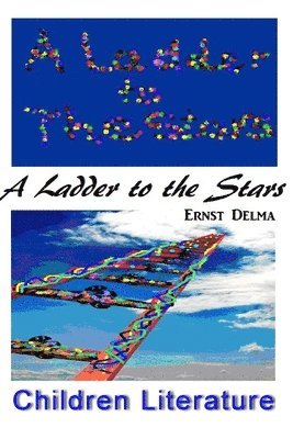 bokomslag Ladder To The Stars