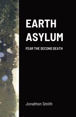 bokomslag Earth Asylum