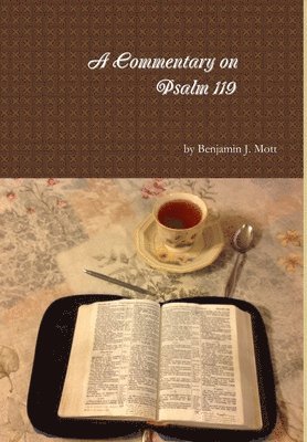 bokomslag Commentary on Psalm 119