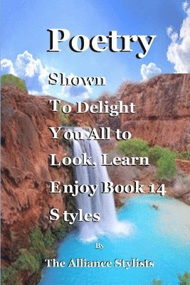 Alliance Stylists - Poetry Styles Book Fourteen, Häftad