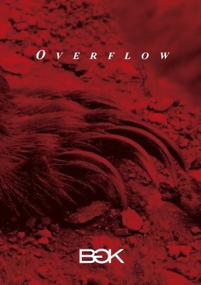 Overflow 1