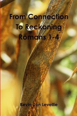 From Connection to Reckoning Romans 1-4 1