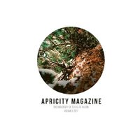 bokomslag Apricity Magazine 2017