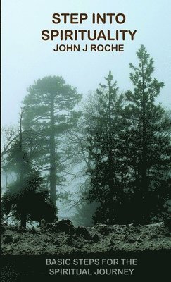 John J Roche, John J. Roche - Step into Spirituality, Häftad