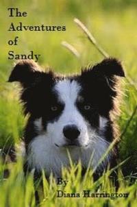 bokomslag Adventures of Sandy, Part I