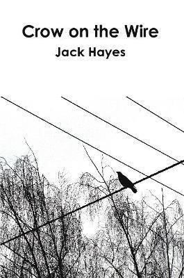 Crow on the Wire 1