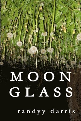 Moon Glass 1