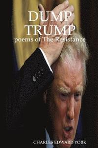 bokomslag Dump Trump