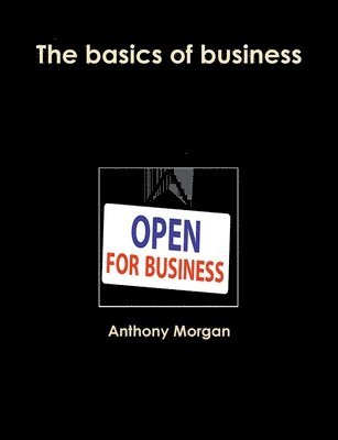 bokomslag The Basics of Business