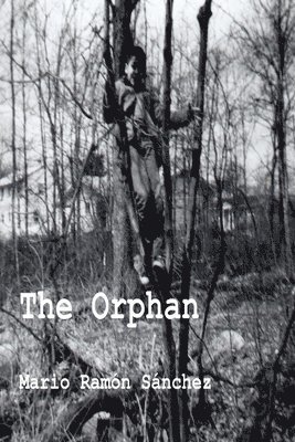 bokomslag The Orphan