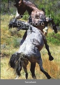 bokomslag Horse Called Baltimore