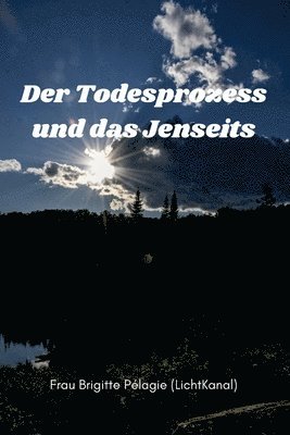 bokomslag Todesprozess und das Jenseits (Paperback)