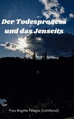 bokomslag Der Todesprozess und das Jenseits (Hardcover)