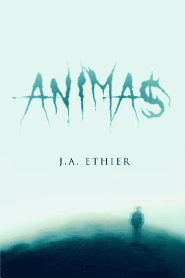 Animas 1