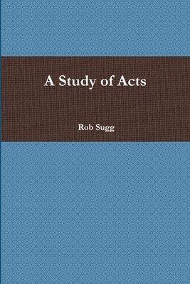 bokomslag Study of Acts