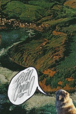bokomslag ¡Buen Camino!