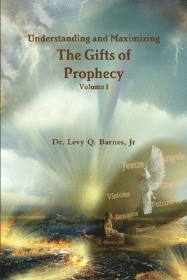 bokomslag Understanding and Maximizing The Gifts of Prophecy Vol. 1