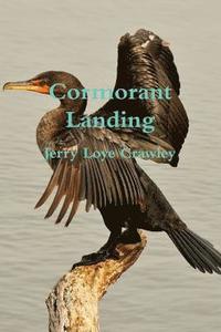 bokomslag Cormorant Landing