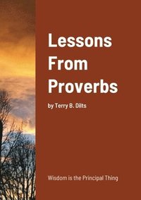 bokomslag Lessons From Proverbs
