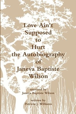 bokomslag Love Ain't Supposed To Hurt The Autobiography of Janeva Baptiste Wilson