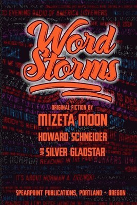 bokomslag Word Storms