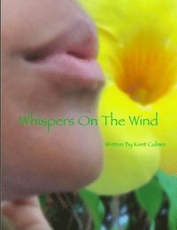 bokomslag Whispers on the Wind