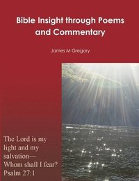 bokomslag Bible Insight through Poems and Commentary