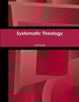 bokomslag Systematic Theology