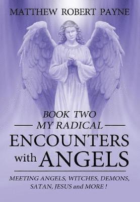bokomslag My Radical Encounters with Angels